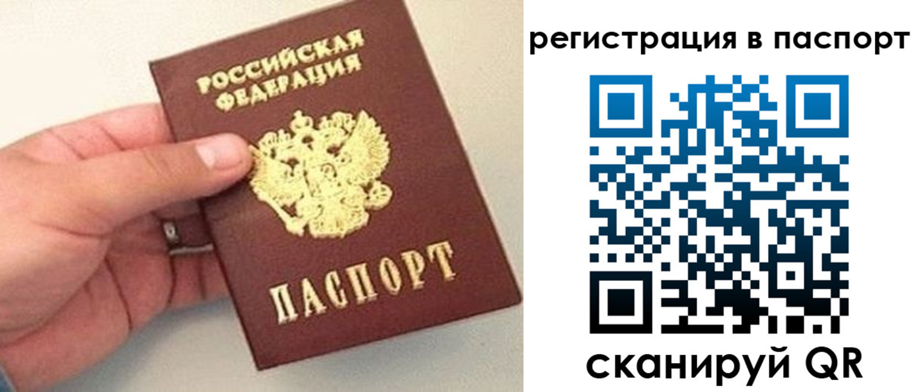 прописка законно в Берёзовском